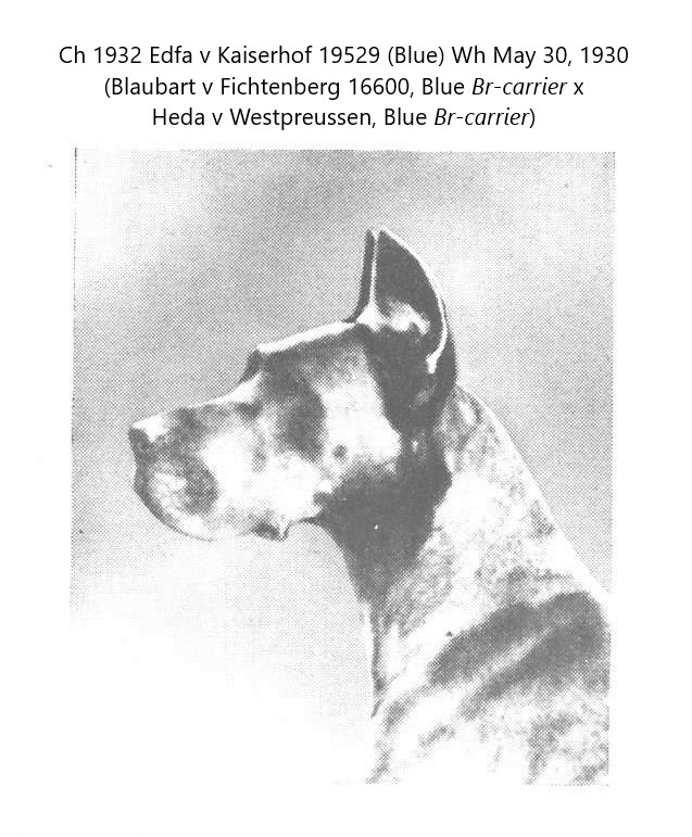Edta v Kaiserhof